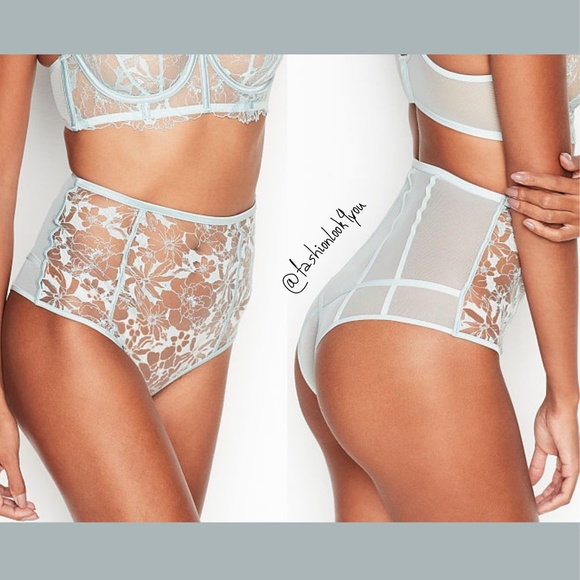 NWT‎ $50 Victoria's Secret Blue Embroidered Zip Sheer Cheeky Panty [ Large ] - Picture 1 of 13